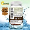 aSquared Nutrition Natural Ceylon Cinnamon 1200mg - 120 Capsules, True Cinnamon-Extract Supplement Pills Promotes Heart Health