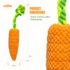 Pawty Dog Toys - Carrot Tug Rope Dog Toy - Squeaky Gift for Puppy Birthday - Cute Toys for Small to Medium Dogs - Durable Toy for Aggressive Chewer - Dog/Puppy Chew Food Shaped Toy - Tug Rope Dog Toy