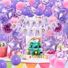 ZERODECO Pink Purple Birthday Party Decorations for Women Girls, Happy Birthday Banner Pompoms Balloon Arch Fringe Curtain Party Décor for Baby Girls Women Purple Pink Birthday Party