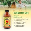 CHILDLIFE ESSENTIALS Liquid Vitamin C - Immune Support, Vitamin C Liquid, All-Natural, Gluten-Free, Allergen Free, Non-GMO, High in Antioxidants - Orange Flavor, 4 Ounce Bottle