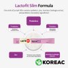 KOREAC_ Lacto-Fit Probiotics Slim 2 Billion CFU 2g X 60 Stick Packets