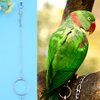 Parrot Foot Ring, Bird Anklet Chain Stainless Steel Bird Leash Parrot Opening Activity Ring Bird Stand Anklet Pet Bird Supplies for Cockatiel Sun Conure