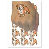 English Bulldog Standing Dog Temporary Tattoo Water Resistant Fake Body Art Set Collection - 15 2" Tattoos (1 Sheet)