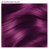Adore Semi Permanent Hair Color - Vegan and Cruelty-Free Red Hair Dye - 4 Fl Oz - 085 Burgundy Bliss (Pack of 1)