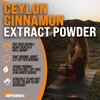 BULKSUPPLEMENTS.COM Ceylon Cinnamon Extract Powder - Cinnamon Extract, Cinnamon Ceylon - Cinnamon Supplement, Pack of 1 - Gluten Free & Soy Free, 1000mg per Serving, 250g (8.8 oz)