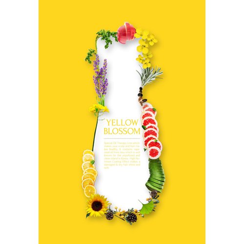 Daeng Gi Meo Ri- Yellow Blossom Anti-Hair Loss Shampoo - Nourishing, Moisturizing, Scalp Care for Shine, 400ml