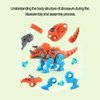 MISS. CHEN 7&7 4-in-1 Take Apart Dinosaur Toys with Electric Drill Toy for Kids 3+,Incl Tyrannosaurus Rex Triceratops,STEM Educational Construction Building Toys