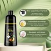 JUANCHI Organic Natural Hair Dye Shampoo 3 in 1 for Gray Hair, 16.9 Fl Oz (500 ml), Black -for Women Men, Easy to Use, Long-Lasting, Paraben Free