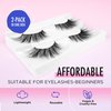 Lashes Natural Look False Eyelashes - Bepholan Fake Eyelashes 3D Super Fluffy False Lashes Mega Volume Wispy Lashes 2 Pairs Plush Daily Lashes,RTJ36