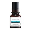 Dr. Brandt Skincare Needles No More Wrinkle Smoothing Cream - Smooths Expression Lines, Firms and Protects the Skin - 0.5 Fl Oz