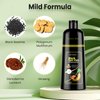 JUANCHI Organic Natural Hair Dye Shampoo 3 in 1 for Gray Hair, 16.9 Fl Oz (500 ml), Black -for Women Men, Easy to Use, Long-Lasting, Paraben Free