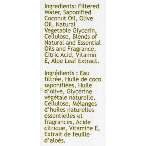 SOUTH OF FRANCE Green Tea Hand Wash, 8 Ounce