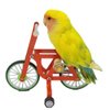 QBLEEV Bird Intelligence Training Toy，Parrot Puzzle Bicycle Toy for Small Medium Bird，Parrot Educational Table Top Trick Prop Toy，Bird Foot Talon Toy for African Grey Cockatoo Eclectus Conures
