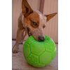 Jolly Pets 6 Inch Medium Soccer Ball Floating Bouncing Dog Toy in Apple Green