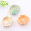 Fantasy Sea Shell Hair Clip,Acetate Hair Clip,Small Claw Clip for Women,Orange, 1 Count (Pack of 1)