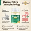 Kynderynl Nattokinase Supplement 10000FU – Organic Natto Enzyme 500mg for Circulatory Wellness, Enteric-Coated Tablets Aiding Digestion & Assisting Absorption, Vegan, 90 Tablets (90-Day Supply) -2P