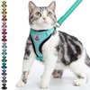 PUPTECK Cat Harness and Leash Set Escape Proof Reflective Cat Walking Harness Adjustable Soft Breathable Mesh Vest for Small Pets, Aquamarine, S