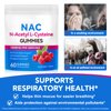 Daiasns NAC Gummies for Adults & Kids 1000mg - Chewable NAC Supplement N-Acetyl Cysteine Supports Lung & Liver Detox, Antioxidant & Immune Defense, Strawberry Flavor 60 Count