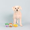 Fringe Studio Plush Dog Toy Set, Just Add Water, Small 3 Piece Set, Pet Shop Collection (662057)