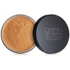 CINEMA SECRETS Pro Cosmetics Ultralucent Setting Powder Rich Tan
