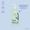 Captain Blankenship Hydrate Conditioner, All Natural Hair Conditioner, Vanilla Coconut Scent, Sulfate Free, Organic, Vegan, 10 Fl Oz