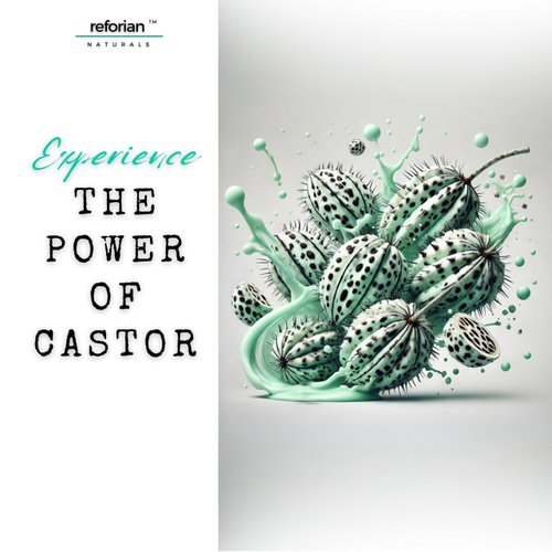 Castor Oil 2 in 1 Shampoo and Conditioner Men & Women Castor Oil Shampoo and Conditioner for Hair Growth Products Shampoo and Conditioner 2 in 1 Castor Oil for Hair Growth Shampoo and Conditioner Set