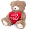 My OLi Valentine's Day Gift for Her 7” Plush Teddy Bear Stuffed Animal Plush Bear with Red Heart Plush Toys Valentines Bear for Babies Girlfriend Wife Mom, Brown