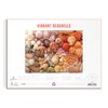 Galison Vibrant Seashells – Christine Chitnis 1000 Piece Puzzle Featuring Chromatic Seashell Arrangement On Sand