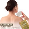 HERBOGANIC Sea Moss Handmade Soap - Natural, Moisturizing Soap Bar for Soft and Smooth Skin with a Spa-Like Experience Pack of 1 (100g)
