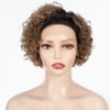 QUEEN VIRGIN REMY QVR Pixie Cut Wig 13x1 Short Curly Lace Front Wigs Human Hair HD Lace Pixie Human Hair Wigs for Black Women Glueless Wigs Ombre Honey Blonde T1B/27 Color