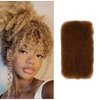 Hair Extensions Afro Kinkys Bulk Human Hair for Dreadlock Extensions Loc Repair Braiding Twist Tight Afro Kinky Human Hair for Locs(30,100g/3.3oz, 10in)