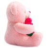 BEJOY Teddy Bear Stuffed Animals Plush Bear Holding Rose Soft Plush Toy Valentine's Day, 16 Inch, Pink