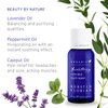 Kerstin Florian Organic Calm Mind Aromatherapy Oil, With Lavender, Peppermint and Cajeput (.5 fl oz)