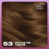 Clairol Bold & Bright Permanent Hair Dye, 53 Dulce de Leche Hair Color, Pack of 1