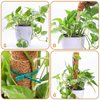 2 Pcs 12 Inches Coir Moss Poles for Climbing Plants with 4 Pcs Adjustable Plant Twist Ties - Coir Moss Totem Stick for Creepers Plant Support Extension, Climbing Indoor Plants(Total 20 Inch)