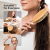 StyleShark Bamboo Paddle Brush - Scalp Massager for Hair Growth, Suitable for Men, Women, and Kids with Curly, Thin, Long, Short, Wet or Dry Hair