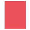 Pacon Neon Bond Paper Card Stock (104315) Orange/Red