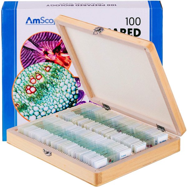 AmScope PS100D Prepared Microscope Slide Set for Basic Biological Science Education, 100 Anatomy and Botany Slides, Set D, Includes Fitted Wooden Case