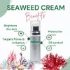 Advanced Seaweed Collagen Cream - Sea Moss Radiance-Boosting & Redness-Reducing Face Moisturizer | Oil-Control Mattifying Formula | Soothing & Calming Face Cream for Brighter Skin | for Women & Men