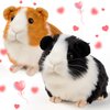 redaica Valentines Day Gifts for Kids, 2pc Guinea Pig Stuffed Animals Realistic Plush Cute Valentine Stuffed Animals Toys, Small Live Animals Pet Doll for Boys Girls Valentines Day Classroom Gifts