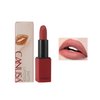 Matte Lipstick, Infallible Matte Resistance, Long Lasting, High Coverage, High Impact Lipcolour with Moisturising Creamy Formula (02, ONE SIZE)