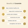 Hanskin 7 Layer Ceramide Cream, Lasts for 48 Hours, 2.4 fl. oz, 70ml, Moisturizes Dry Skin, Moisturizer, For All Type, Sensitive Skin, Redness, Boosting Calming Cream
