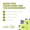 Sapadilla Sweet Lavender + Lime Biodegradable All-Purpose Cleaner Concentrate, 25 Ounce