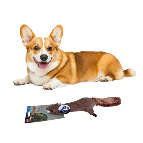SPOT Skinneeez Plus Squirrel - Stuffing Free Dog Toy with Two Piece Rubber Body and Two Squeakers...