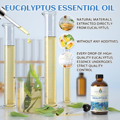 EVOKE OCCU Eucalyptus Essential Oil 4 Fl Oz, Pure Eucalyptus Oil for Diffuser, Humidifier, Aromatherapy - 118ml
