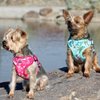 DOGGIE DESIGN Wrap and Snap Choke Free Dog Harness (Pink Hibiscus, S)