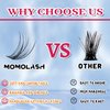 Momolash Natural Lash Clusters Kit Wispy Lashes Extension Kit with Lash Bond and Seal, Eyelash Tweezers, Remover, 180pcs D Curl Left&Right Cat Eye Cluster Eyelashes Extensions Kit DIY At Home