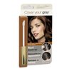 Cover Your Gray Root Touch-Up Medium Brown Mini Box .25 ounce