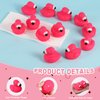 TOYMIS 12pcs Flamingo Rubber Duck, Cute Float Rubber Duck Rubber Ducks Bath Toys Bathtub Duckies Mini Rubber Ducks for Shower Birthday Party Favors Home Decoration Classroom Prizes