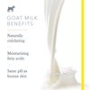 Beekman 1802 Pure Goat Milk Hand Cream, Honey & Orange Blossom - Scented - 2 oz - Moisturizing Lotion for Dry Skin - Anti-Aging Hydration - Good for Sensitive Skin - Cruelty Free - Packaging May Vary